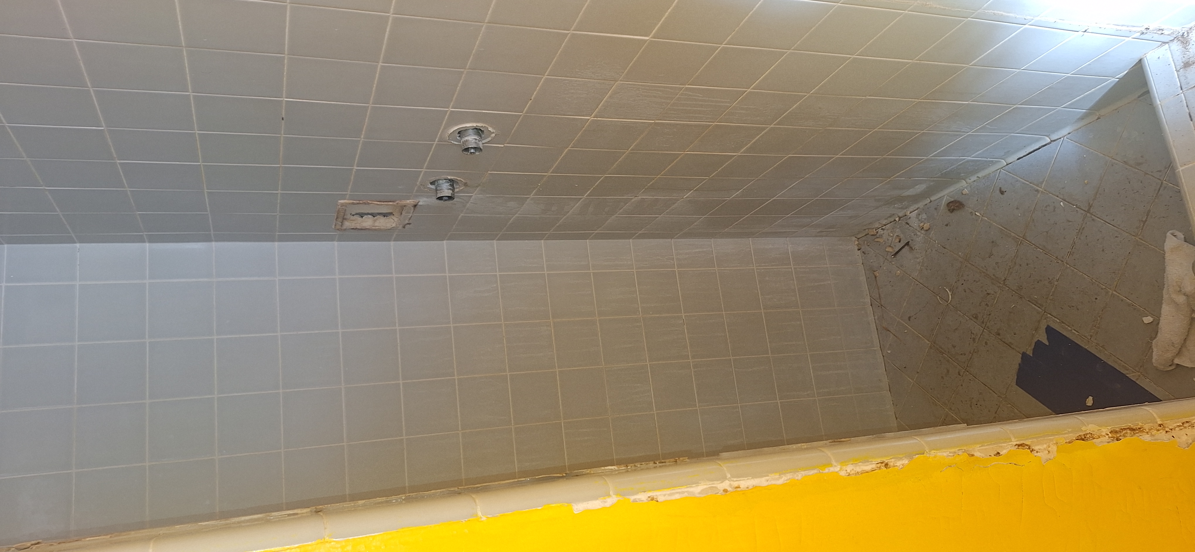 Master Bathroom Shower – Angle 2